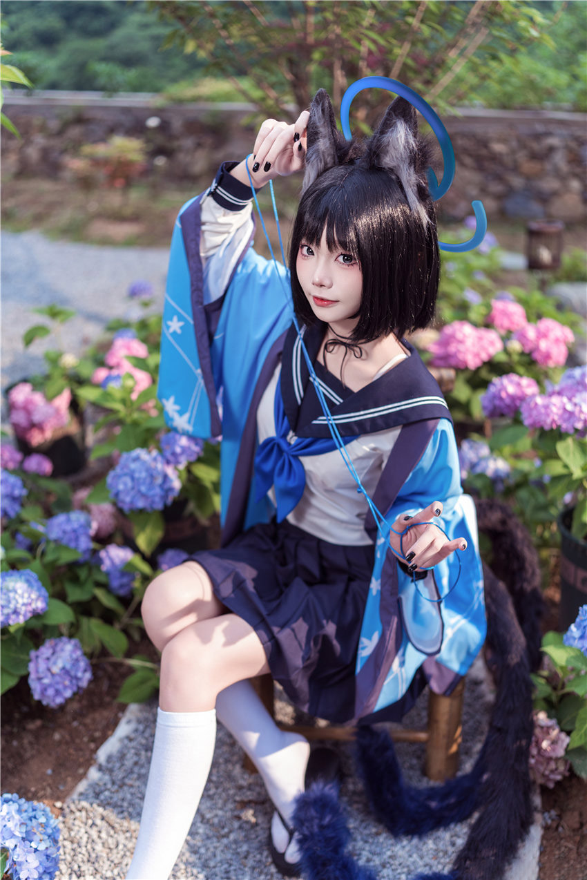 V3-1